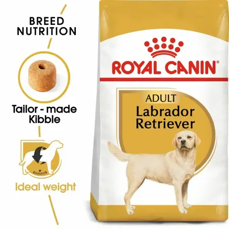 Labrador Retriever 12kg