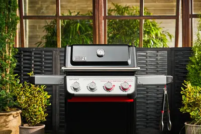 Spirit E-425 with Plancha