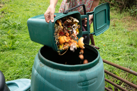 Compost: make it at home in 6 steps
