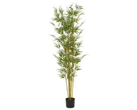 Bamboo In Pot Artificial H185.00cm green - image 1