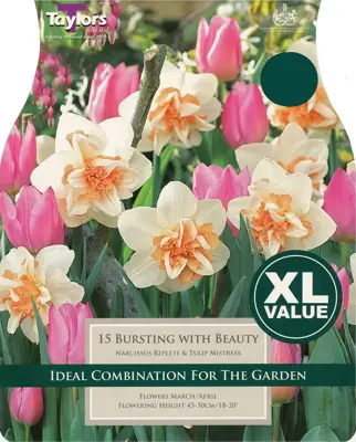 Bursting With Beauty XL