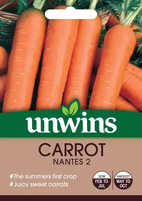 Carrot Nantes 2 - image 1