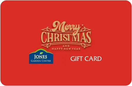 Christmas Gift Card €100