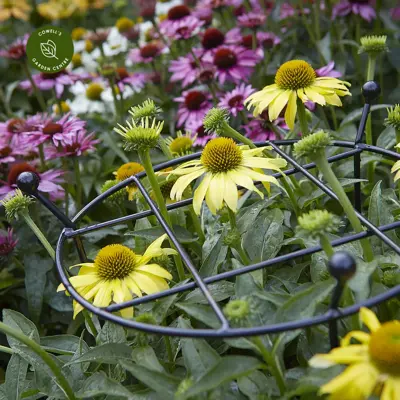 Cottage Garden Grow Thru  Large - image 2