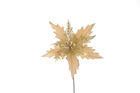 FB 55cm gold poinsettia with sequin holly stem