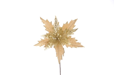 FB 55cm gold poinsettia with sequin holly stem