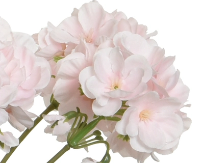 Flower Geranium In Pot H35Cm - image 4