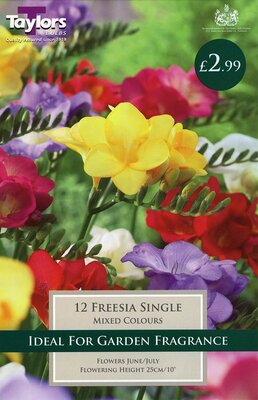 Freesias Mixed Singles 5Up