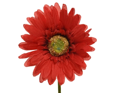 Gerbera Polyester Red dia10-H50cm