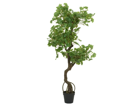 Gingko Pe Green L82-W60-H150cm - image 1