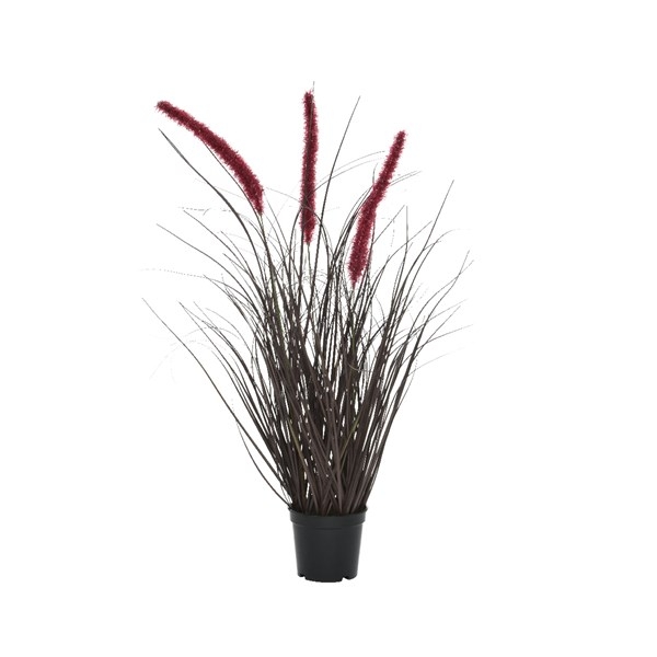 Grass In Pot Pvc H60cm Burgundy - Jones Garden Centre