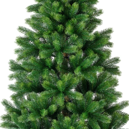 Kenmore Fir 210cm (7FT) - image 2