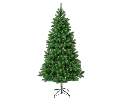 Kenmore Fir 210cm (7FT) - image 1