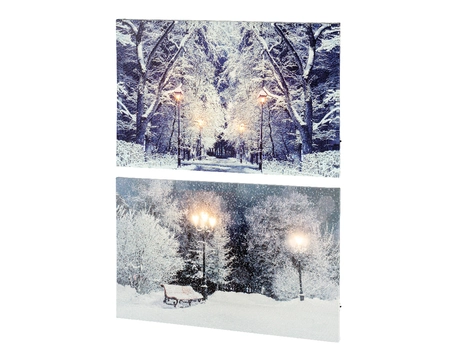 LED Canvas Flashing Effect BO Indoor 2Ass Warm White/Cool White H38cm-6L - image 1