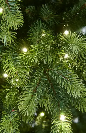 Montana Fir -  7.5Ft Tree 750 Warm White LED & 8 Functions - image 2