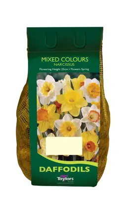 Narcissi Mixed Carri-Pack