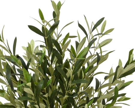 Olive Tree Leaves In Pot Polyester  H120.00cm green - image 3