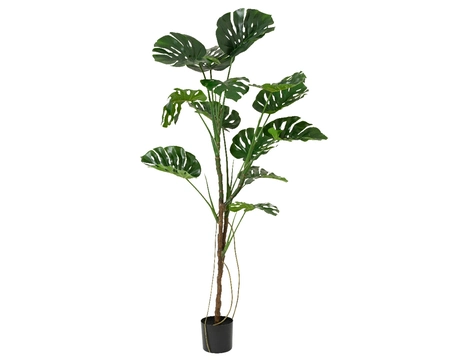 Plant In Pot Polyester Monstera Tree H180.00cm green