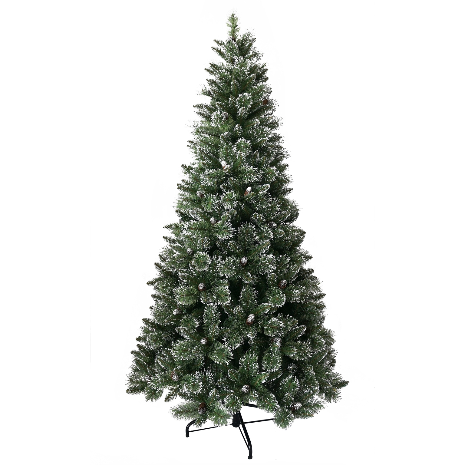 Shimmery Bristle 7.5ft Tree - Jones Garden Centre