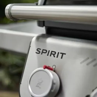 Spirit E-310 - image 2