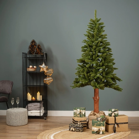 Tiaga fir 180cm/6Ft - image 3