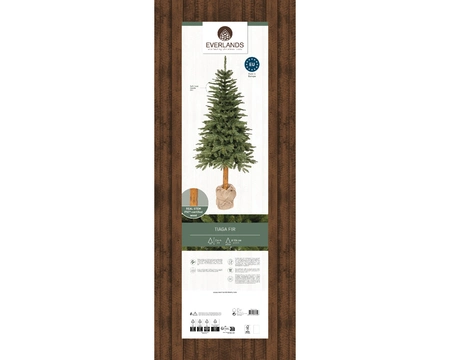 Tiaga fir 180cm/6Ft - image 2