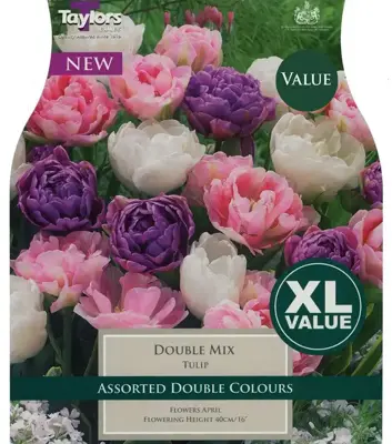 Tulip Double Mix 10-11 Xl