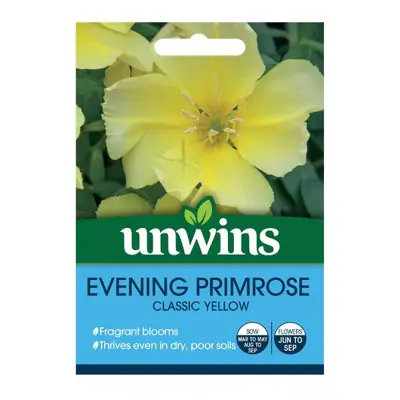 Wildflower Evening Primrose